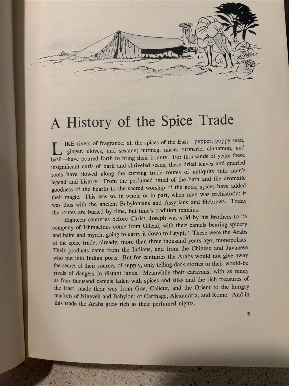 Vintage Cookbook The Spice Cookbook 1964